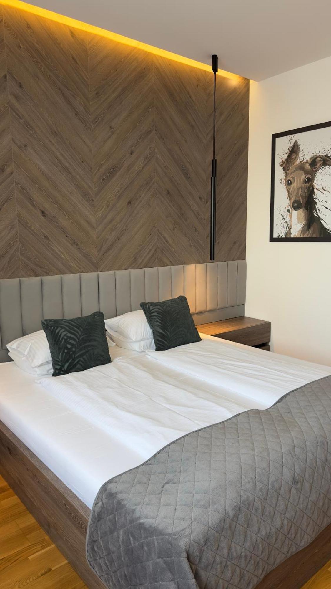 Dom Boutique Apartments - Park View 贝尔格莱德 外观 照片